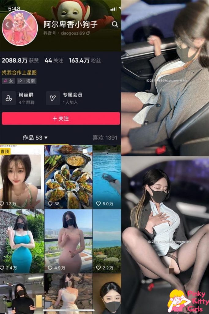 图片[1]-阿尔卑香小狗子 [30套] [持续更新]-PinkyKitty Girls